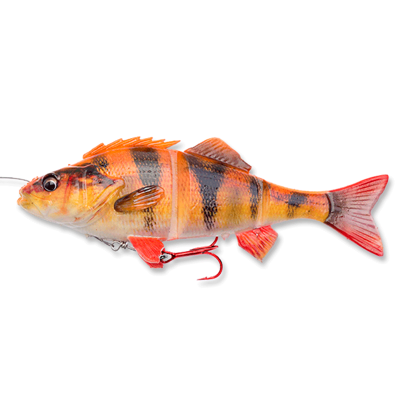 4D-Line-Thru-Perch-23-SS-145g-03-Albino-57425