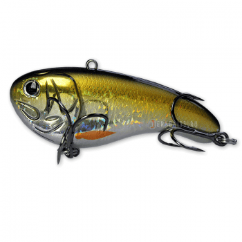 Berkley-FS-124-XH-Flatt-Shad SRD