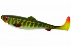 zubatki-baits-KlLOUN-26cv-color-3