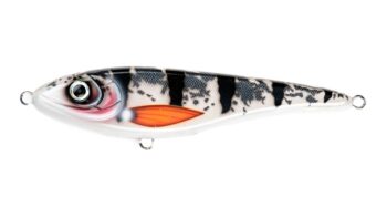 Big-bandit-C778 Silver Koi,