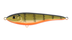 C790F-UV Baby Perch Big Bandit