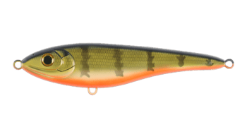 C790F-UV Baby Perch Big Bandit